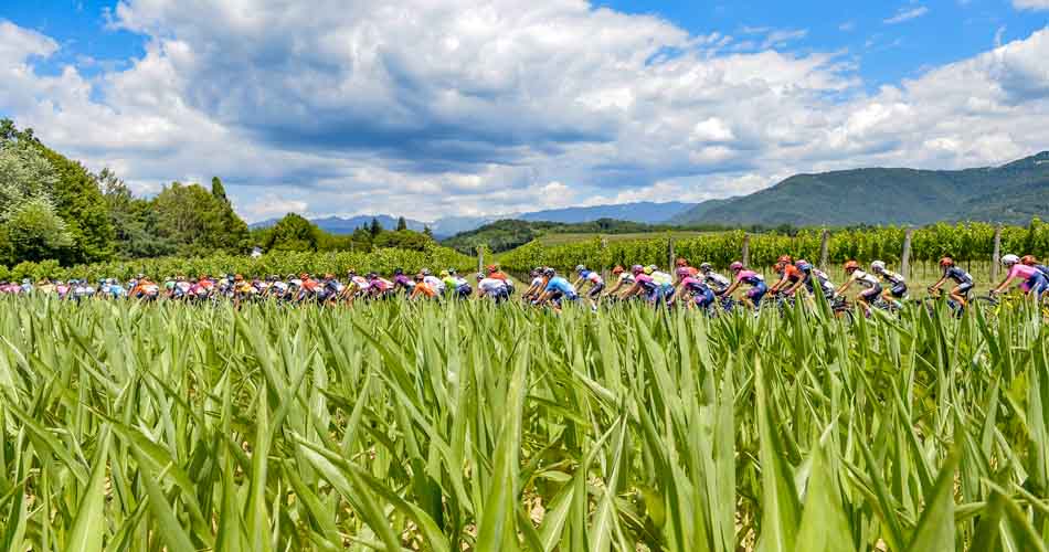 cicliste tweet media