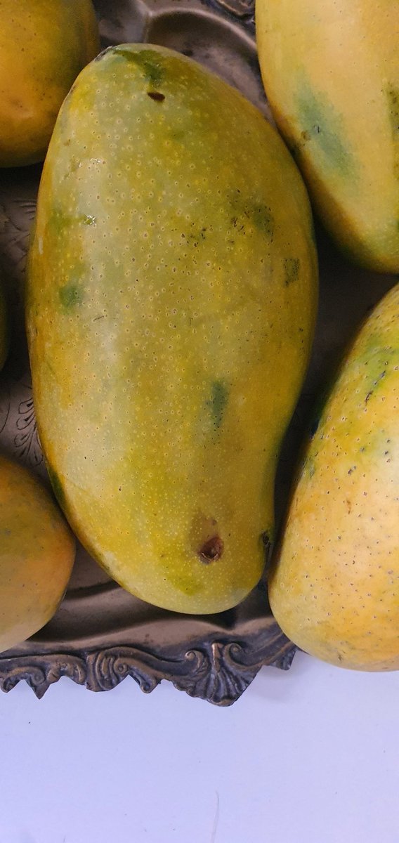 abbasrazvi's tweet photo. The best mangoes in the world... Arguably of course. 😀 #Himayath #Mango #Hyderabad #Telangana https://t.co/8K34XS59QP