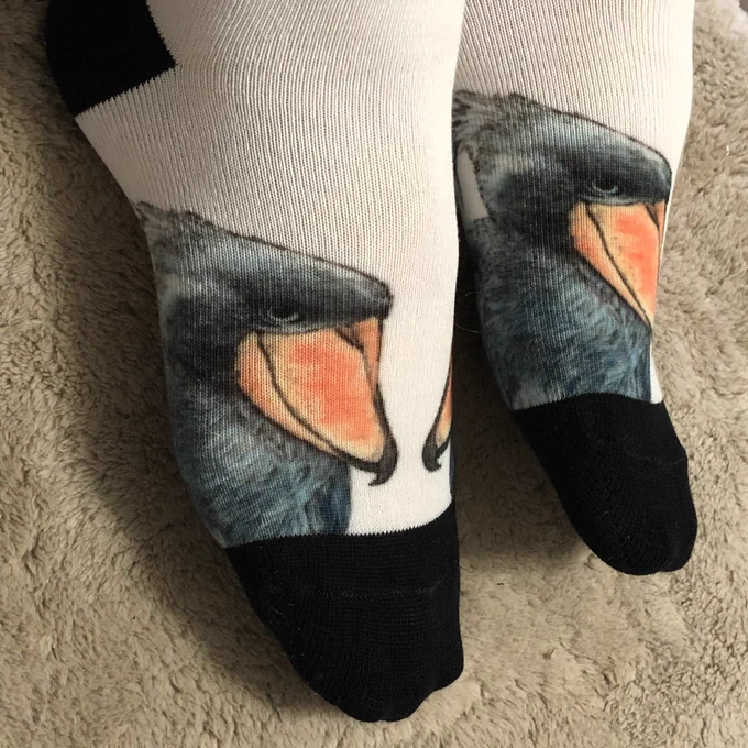 届いたのではいてみました! 思ったより色が濃いのと、甲高の私がはくと顔が横伸び
