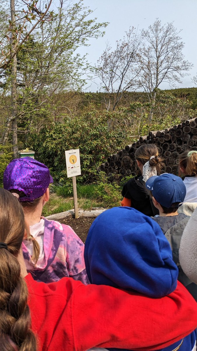 mswinterIRT's tweet image. We had such a great time in the fresh air this morning! So happy I got to attend this plant-y field trip 💐 @sjboscoschool