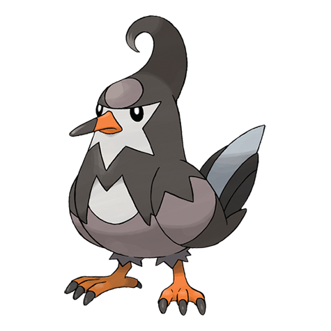 What Pokémon Day is it today? tweet media