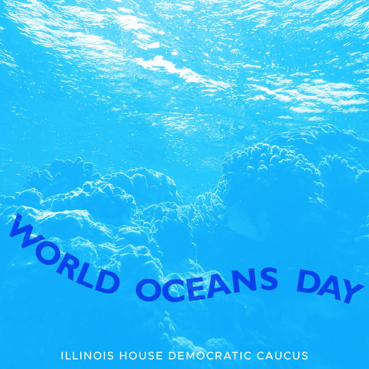 In Illinois, we’re taking steps to move Illinois to zero carbon emissions and limit single-use consumer products that can end up polluting our waterways. If you’d like to know more about efforts to keep our oceans clean or support them, please visit worldoceanday.org.