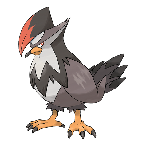 What Pokémon Day is it today? tweet media