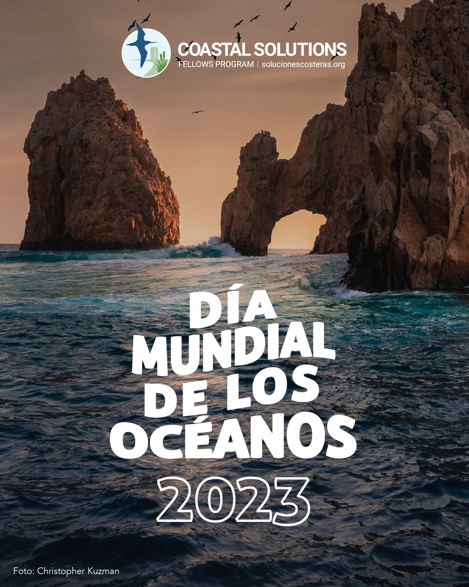 8 de Junio - #DíaMundialdelosOcéanos 

#SinContaminaciónPorPlásticos #WorldOceansDay #NoMorePlastic #BeatPlasticPollution