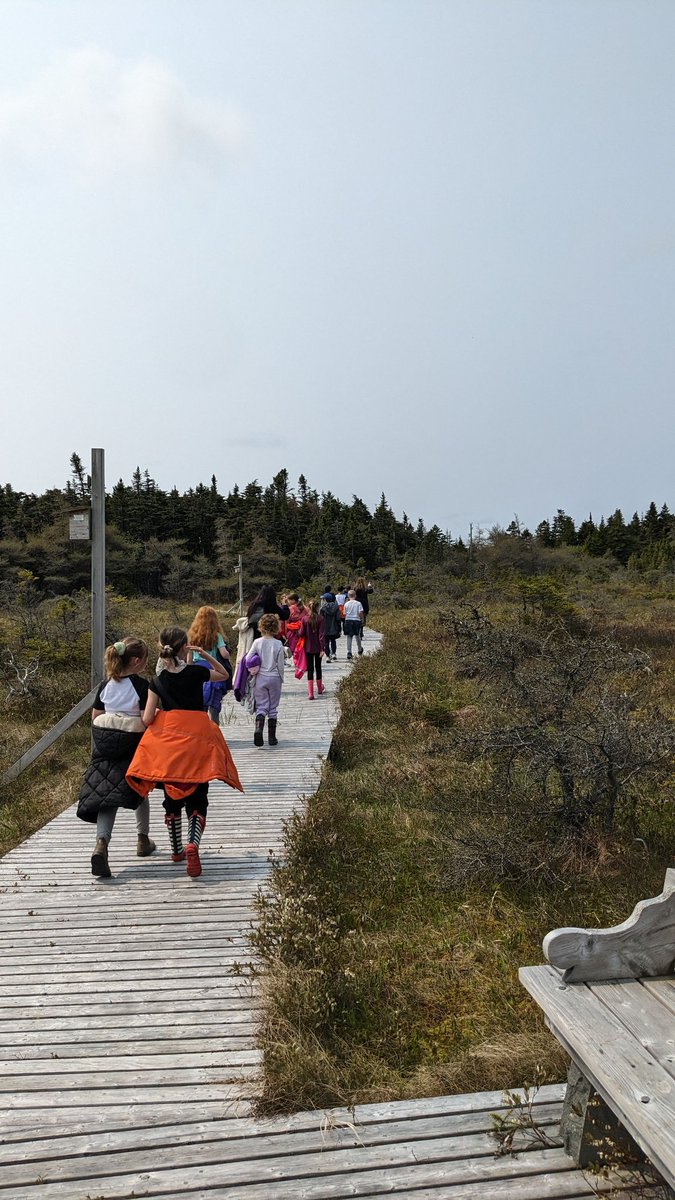mswinterIRT's tweet image. We had such a great time in the fresh air this morning! So happy I got to attend this plant-y field trip 💐 @sjboscoschool