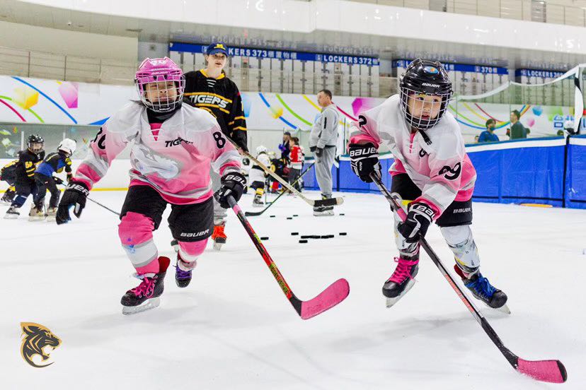 umichwhockey's tweet photo. Team president and alternate captain #28 Robin Goldman has been volunteering with the Tai Pei Tigers in Taiwan and will be working with them all summer!

Studying Mandarin at National Taiwan University, Robin has been spreading the joy of women’s hockey around the 🌎💛

#GoBlue https://t.co/C2eI48rSpW