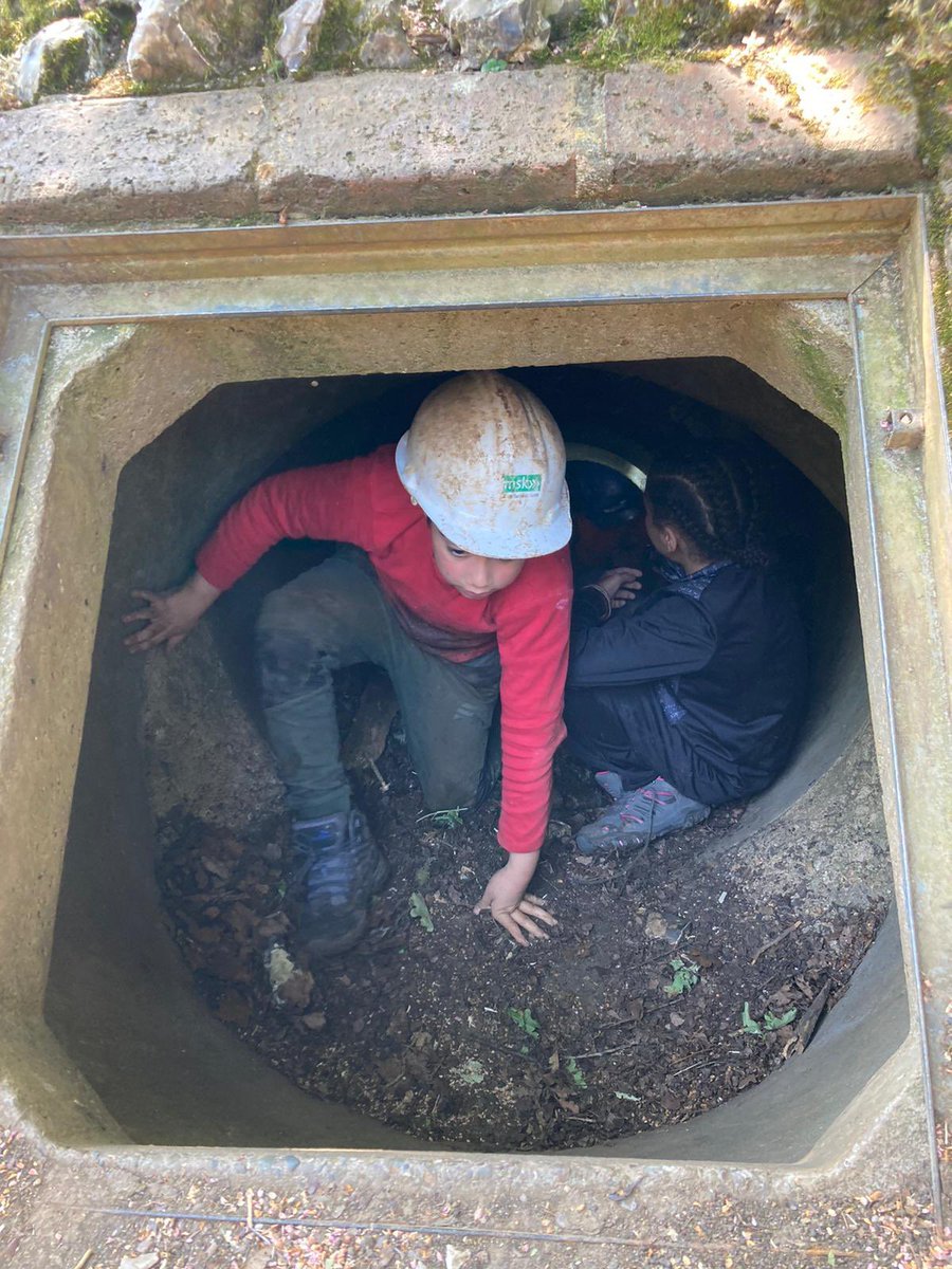 Edmonton County Primary tweet media