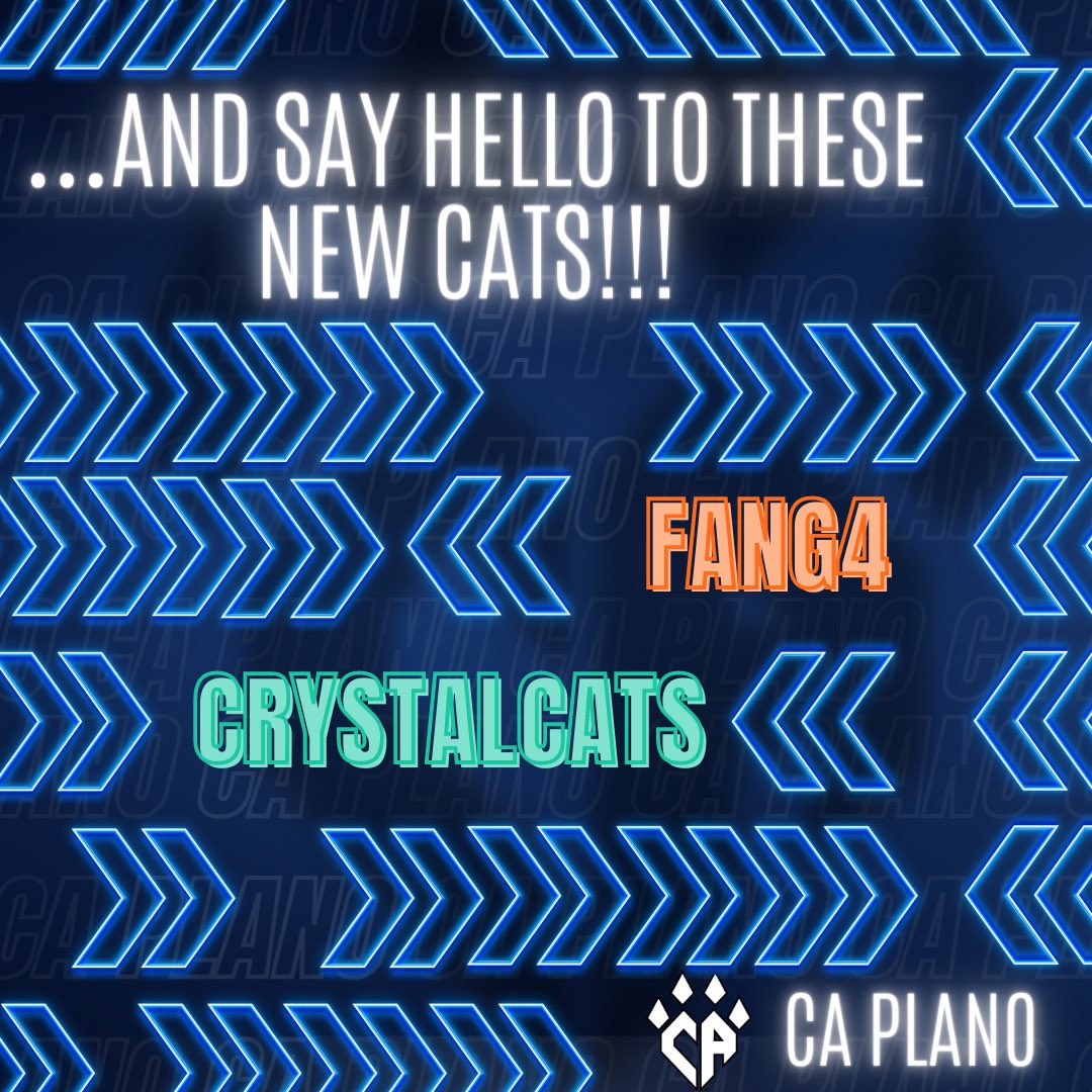 Let’s start today with some name reveals! Here’s some cats returning for our 30th season, and two making their debut! 🐈💙🐈‍⬛ #meowmail #theworldneedsmorecheer #cheerathletics #cheerleading #cheerleader #cheer