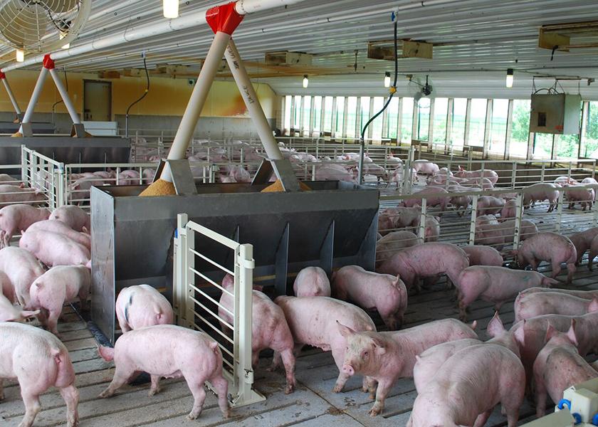 FJ_PORK's tweet photo. Management of livestock is essential for a healthy herd. Some medications can be avoided with observation and understanding of a herd health plan, which is the main objective of the management over medication concept. #PORKWeek23
https://t.co/ARrUHRw9qj https://t.co/T4b4TA6noY