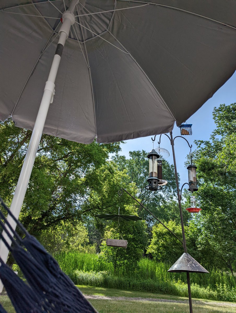 Sunidesus's tweet photo. New schedule means the sun is in a not great place when I have time to be outside.

Therefore an umbrella has been acquired. https://t.co/klQqoAc3C3