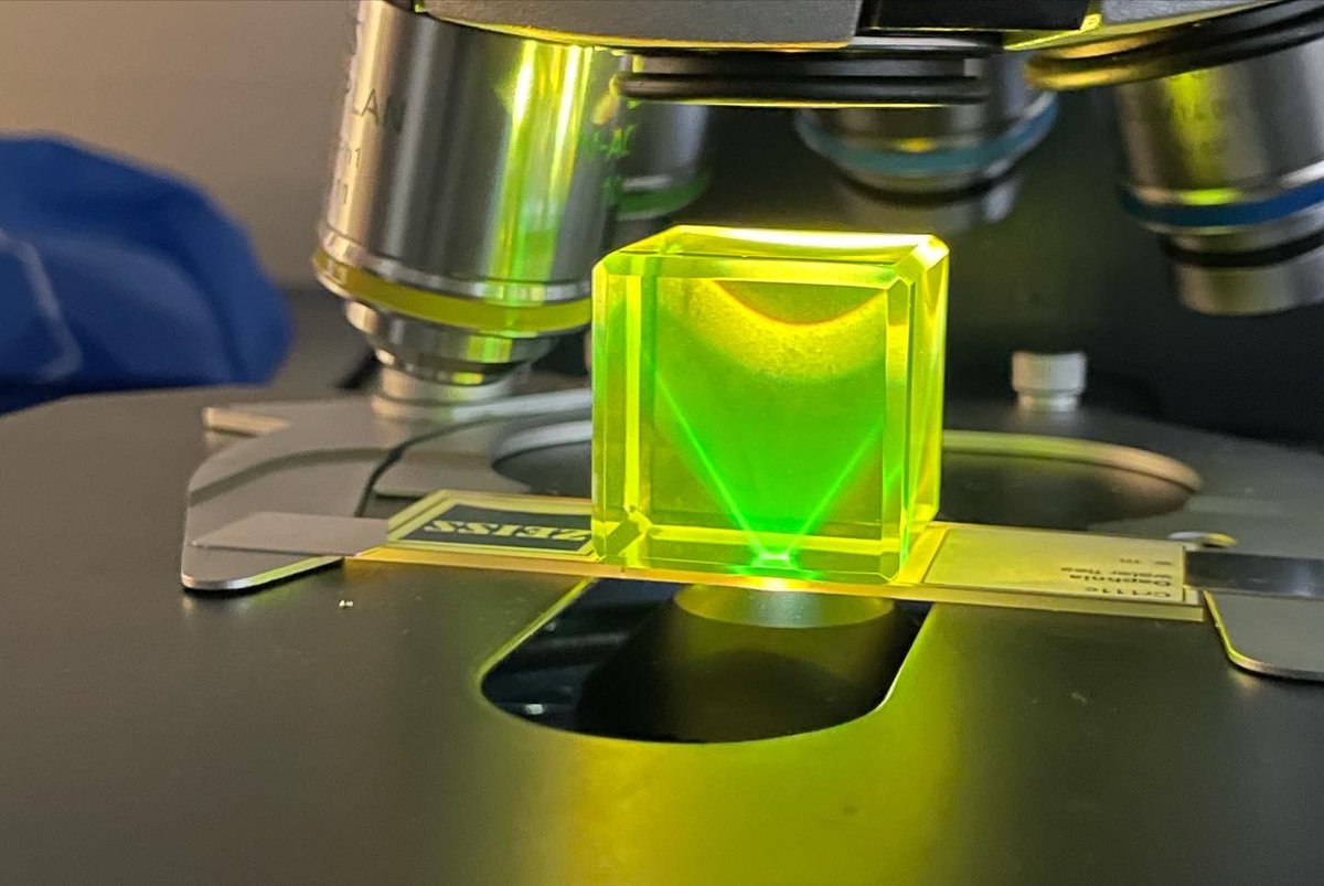 MichelleItano's tweet photo. #GuessTheIllumination #micoscopymonday #firstimages #embryo23 https://t.co/WcgR0B3JmP