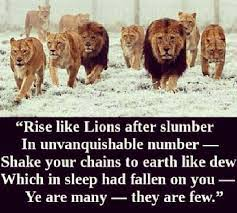 Meri Perkins tweet media