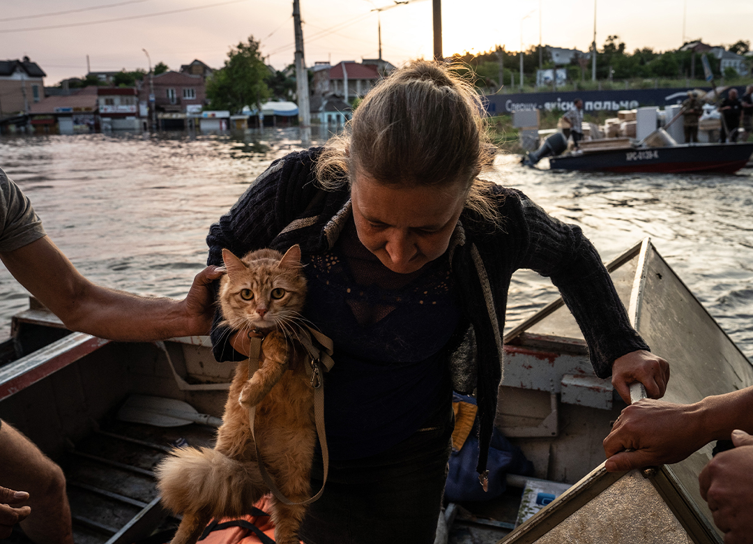 "Do you have any other place to live? - No" Answered elderly couple rescued from their sinking home.

Scenes from flooded #Kherson. Dam destruction caused immeasurable suffering of civilian population and an ecological catastrophe.

#херсон #warinukraine #ukraine #NovaKakhovka