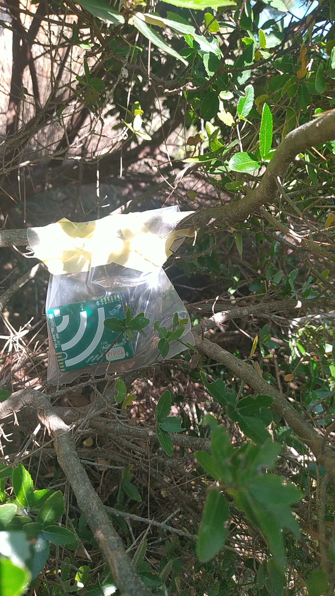 Eşzamanlı olarak ayrıca karaya karasal biyoakustik dinleme cihazı da yerleştirdik. #audiomoth <a href="/OpenAcoustics/">Open Acoustic Devices</a>