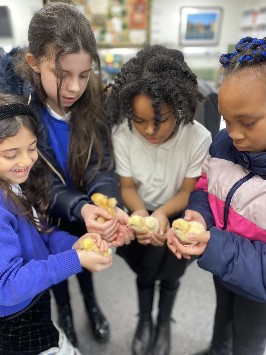 CedarFoxfield tweet media