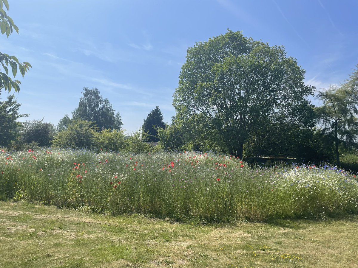 At the start of this week I wasn’t feeling great so had a listen to a couple of bitesize podcasts &amp; tried to put things into perspective. Also took the time today to go for a walk in the sunshine &amp; took a book from a local Little Library - it really helped 🥰☀️📖