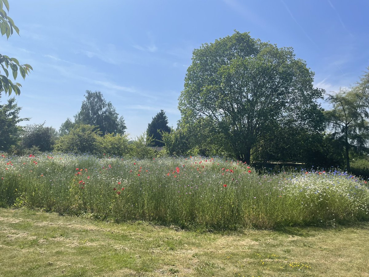 At the start of this week I wasn’t feeling great so had a listen to a couple of bitesize podcasts & tried to put things into perspective. Also took the time today to go for a walk in the sunshine & took a book from a local Little Library - it really helped 🥰☀️📖