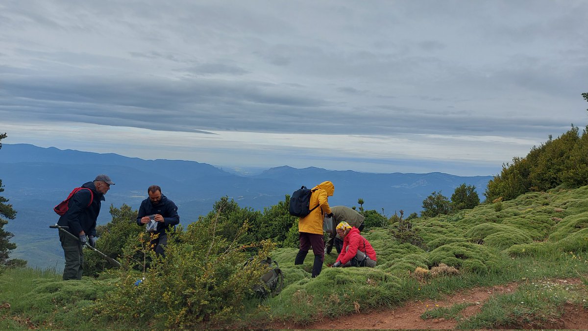 Plant Ecology UT tweet media