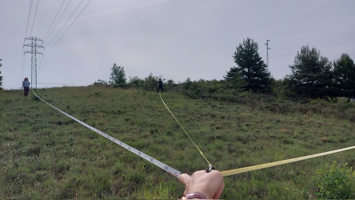 Plant Ecology UT tweet media