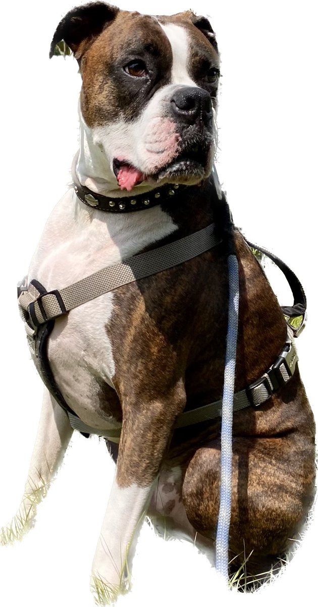 Jennifer Allen tweet media