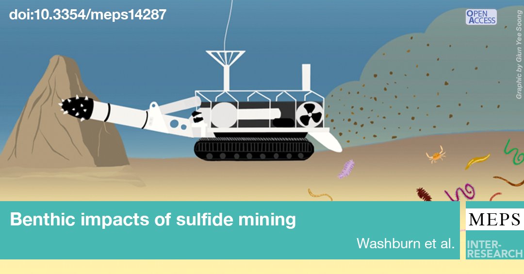 Japan undertook first ever #ExcavationTests of #DeepSea seafloor #MassiveSulfides in 2017 in the Okinawa Trough. We observed various #impacts on benthic communities and identified several possible indicators of mining disturbance. #FeatureArticle
bit.ly/meps_712_1
