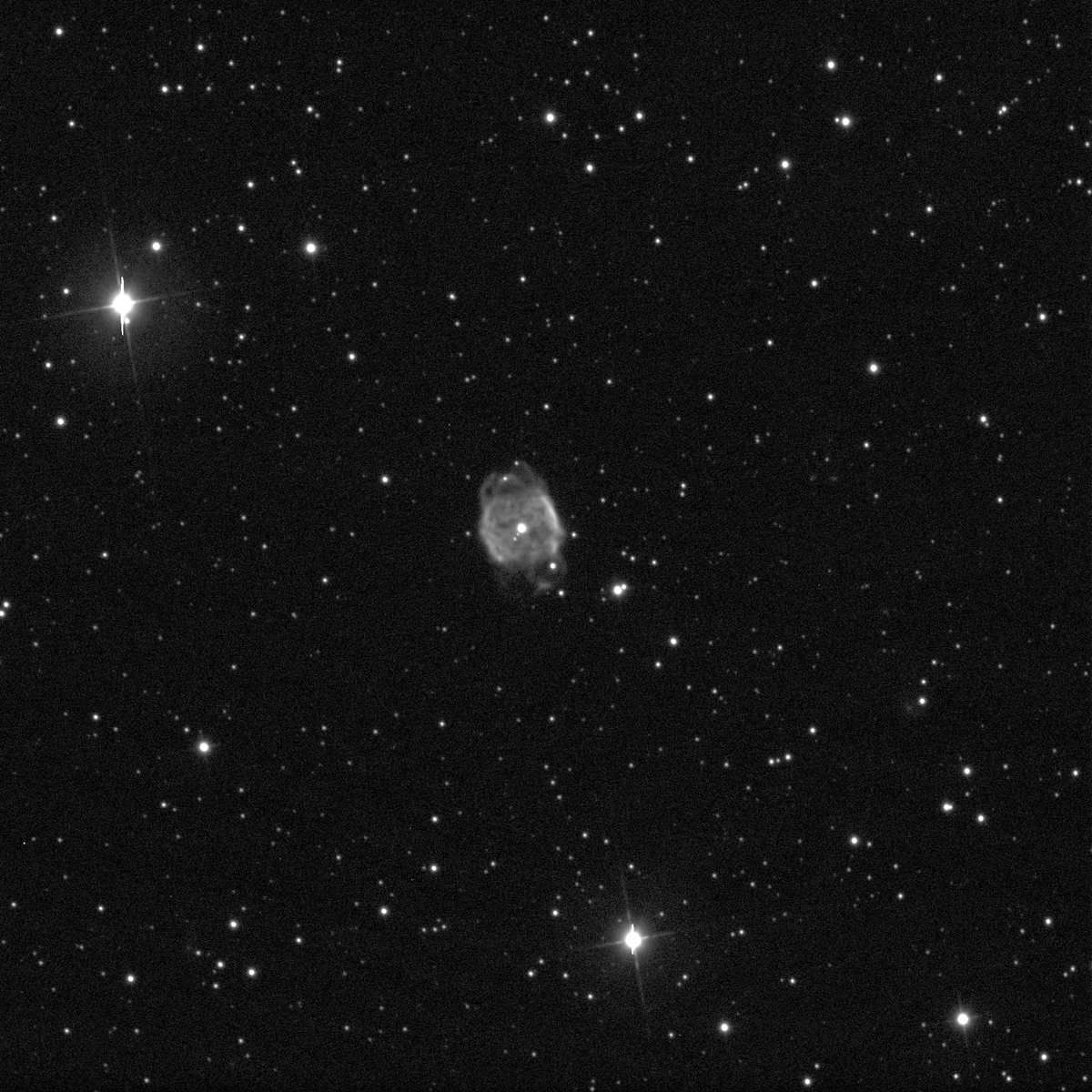 LboroGSAstronomy (@lborogsastron) on Twitter photo I warned you there was more to come this image again taken with the <a href="/faulkestel/">Faulkes Telescope</a> is of #NGC40 or the #bowtie nebula this image was taken by #Oliver another new member of the #LGSASTROC #clearskies #lsf #stillmoretocome I warned you there was more to come this image again taken with the <a href="/faulkestel/">Faulkes Telescope</a> is of #NGC40 or the #bowtie nebula this image was taken by #Oliver another new member of the #LGSASTROC #clearskies #lsf #stillmoretocome