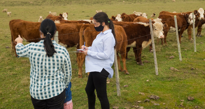 MGAP / Fueron presentados los resultados del proyecto Ganadería y Clima: El pasado 3 de junio se presentaron los resultados del proyecto Ganadería y Clima, de los que se destacan importantes logros. Algunos de ellos son que “el ingreso… #Agro #Producción dlvr.it/SqMRC1
