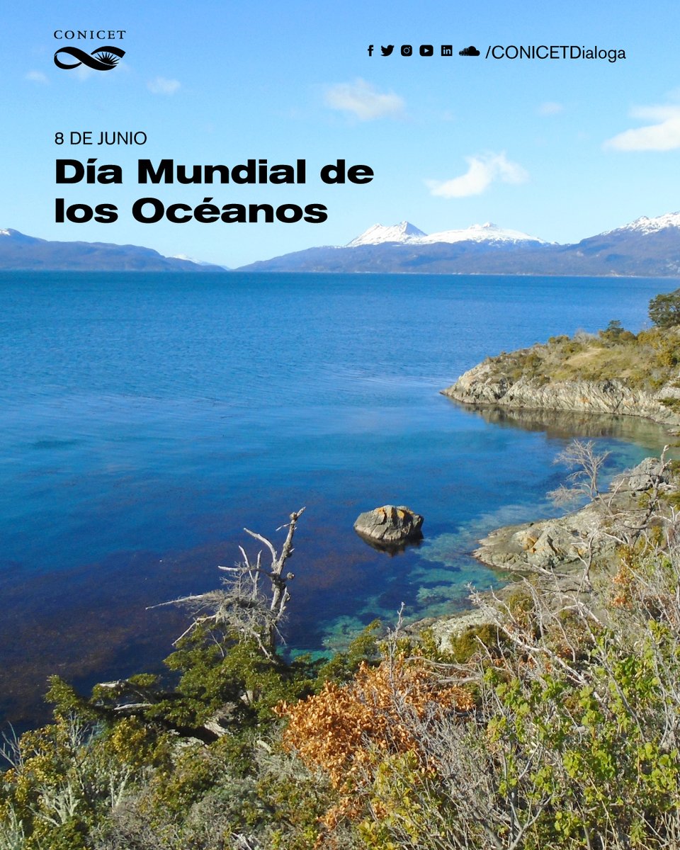 🔵En el Día Mundial de los Océanos, especialistas del CONICET comparten la experiencia de la Red de Observación Marina Argentina para el estudio sistemático y monitoreo coordinado de la zona litoral costera.
✍️bit.ly/losocéanos
#CienciaArgentina