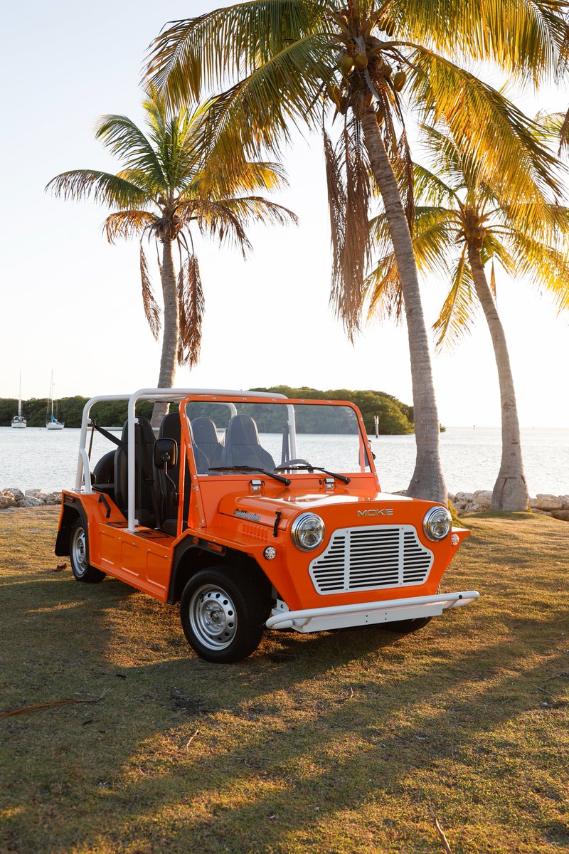 Moke International tweet media