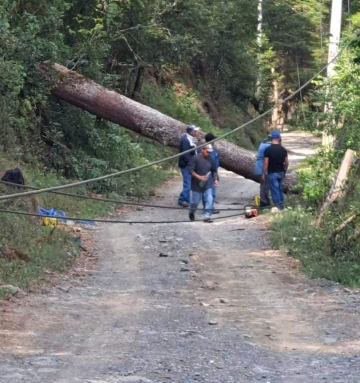 noticiasdeqro's tweet image. #PINAL  | 🚨🌳  Elementos de PC Municipal de Pinal de Amoles en conjunto con personal del departamento de Servicios Municipales, se trasladaron al barrio La Escondida para retirar un árbol que cayó sobre un camino de terracería

noticiasdequeretaro.com.mx/2023/06/08/ret…

#NOTICIASDEQUERETARO