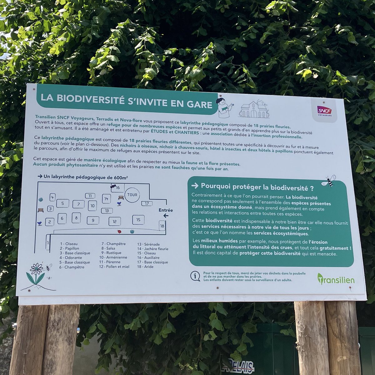 #RSE 🌻 #Transilien, #Terradis, <a href="/nova_flore/">Nova-Flore</a> ainsi que l’association @ECIDF, proposent désormais un parcours pédagogique aux abords de la gare d’Hericy - <a href="/LIGNER_SNCF/">Ligne R</a>.
Avantage environnemental &amp; projet permettant d’améliorer l’employabilité de personnes en parcours d’insertion 👏