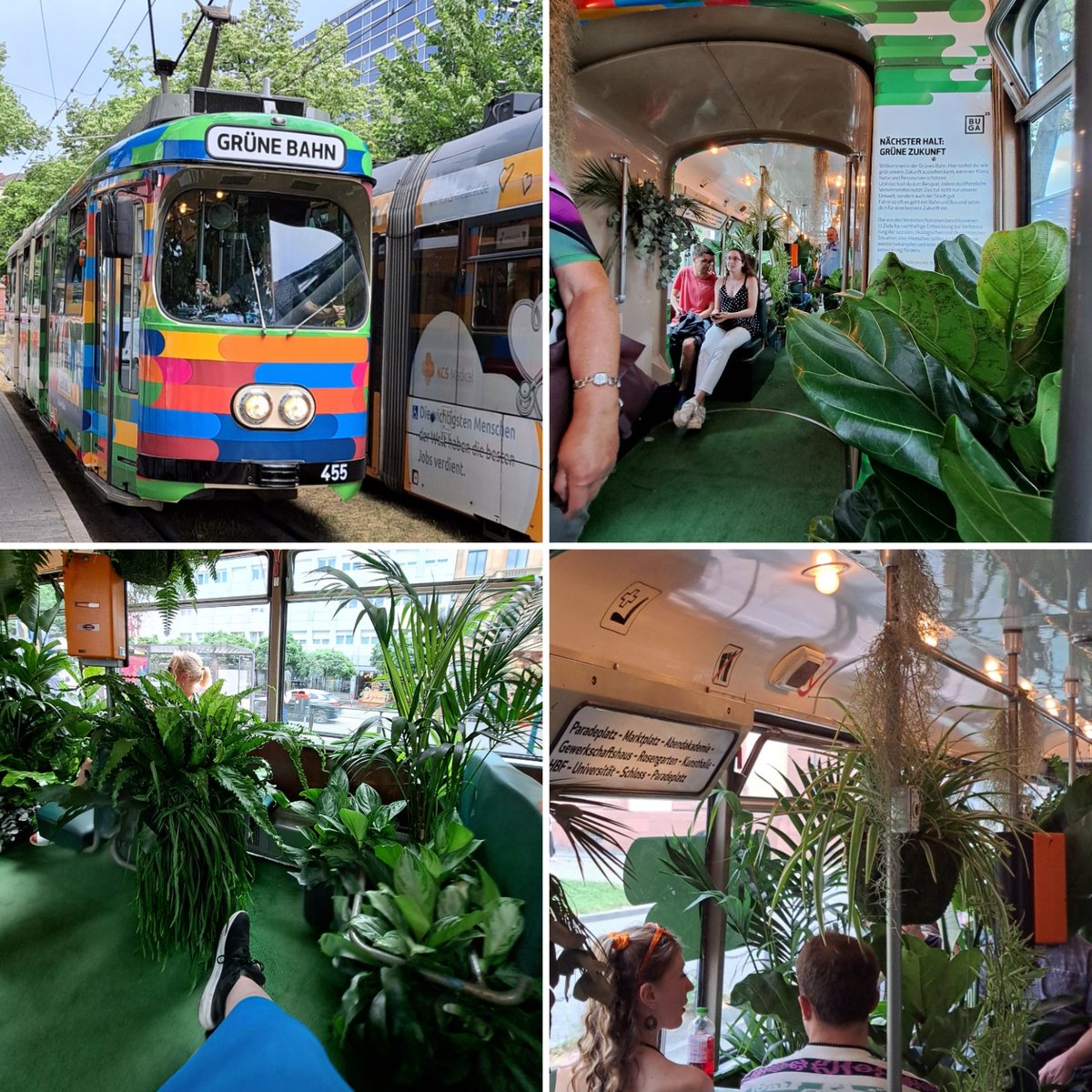 Public Transport. But make it different. And more green. The jungle tram celebrates the importance of public transport in the fight for the climate and air quality.
#BuGa23 #17Ziele #SDGs