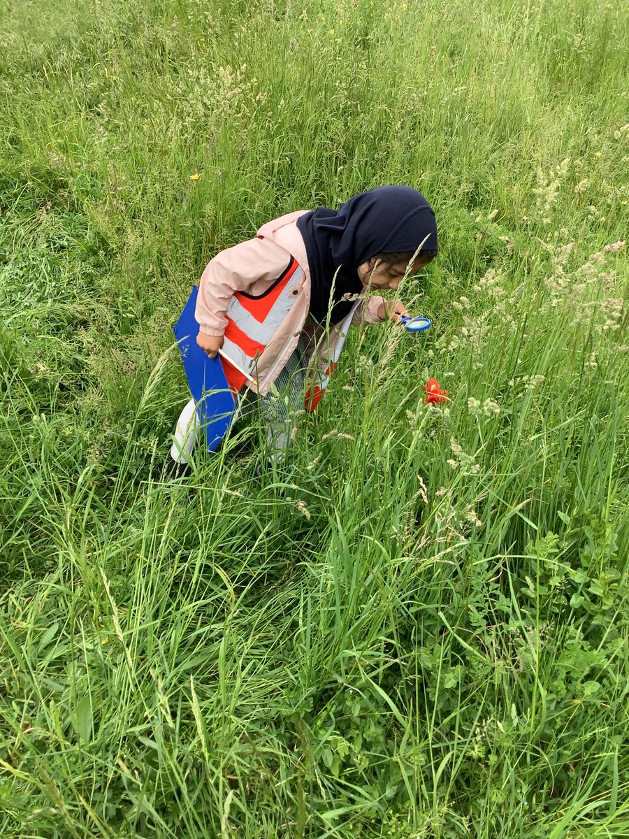 Halley Year 1 tweet media