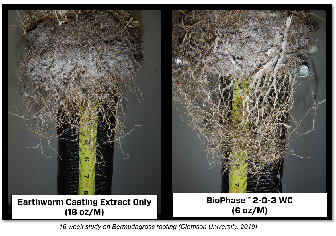 Combining quality earthworm casting extract, amino acids, and plant-available nutrients, BioPhase™ 2-0-3 WC provides a great low-use rate option for your spray programs.

Learn more here: ow.ly/NCmo50OJ4PU