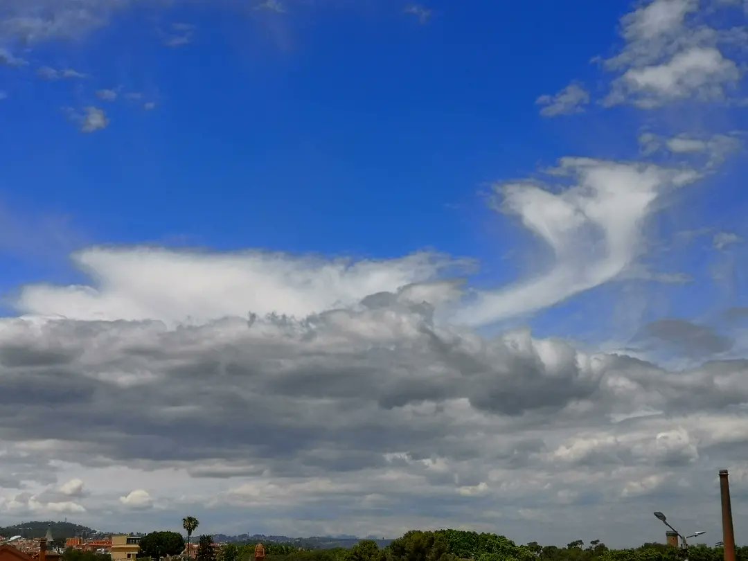 meteoecovisual's tweet photo. #cirrus floccus #virga y #espisatus desde #santboi
#santboidellobregat
#BaixLlobregat
#meteofoto
#fotometeo
#cielos #cielo #nube #nubes #meteo #meteorología
#observadormeteorologico https://t.co/ChwkBwQCdZ