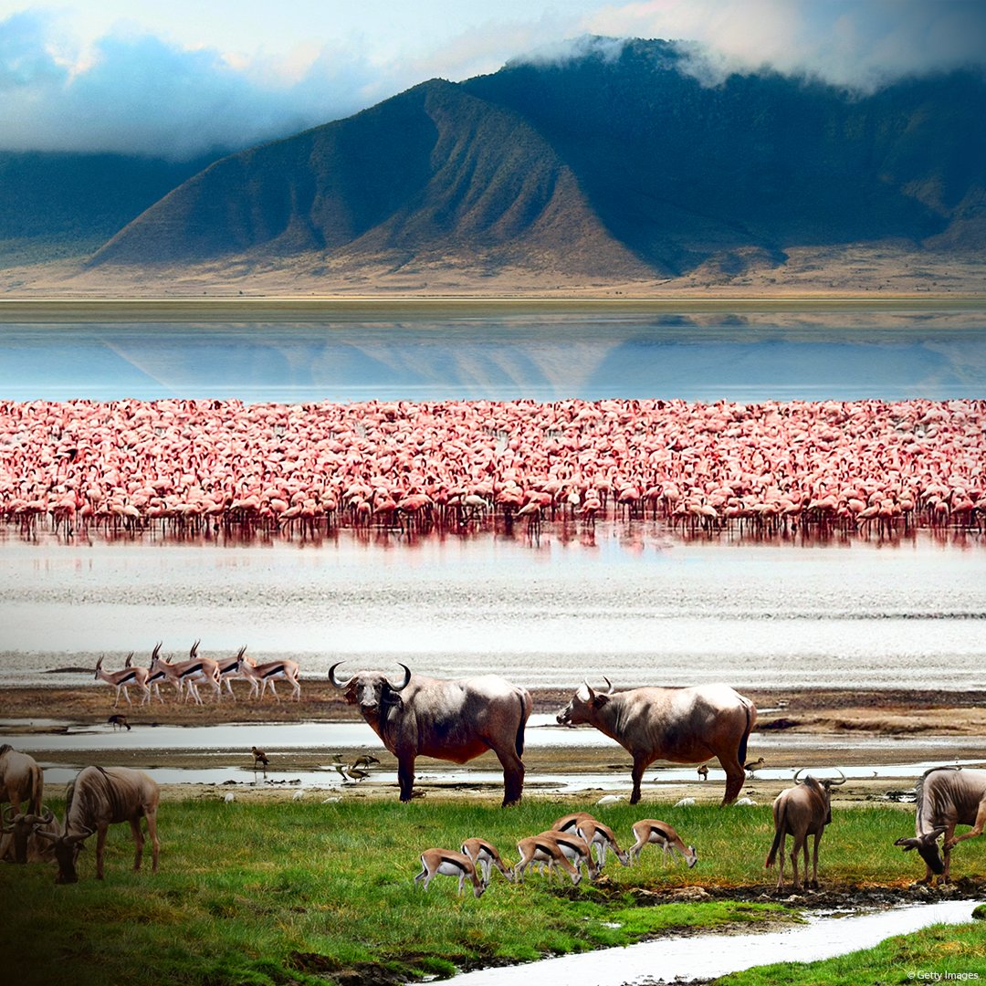 UN Biodiversity tweet media