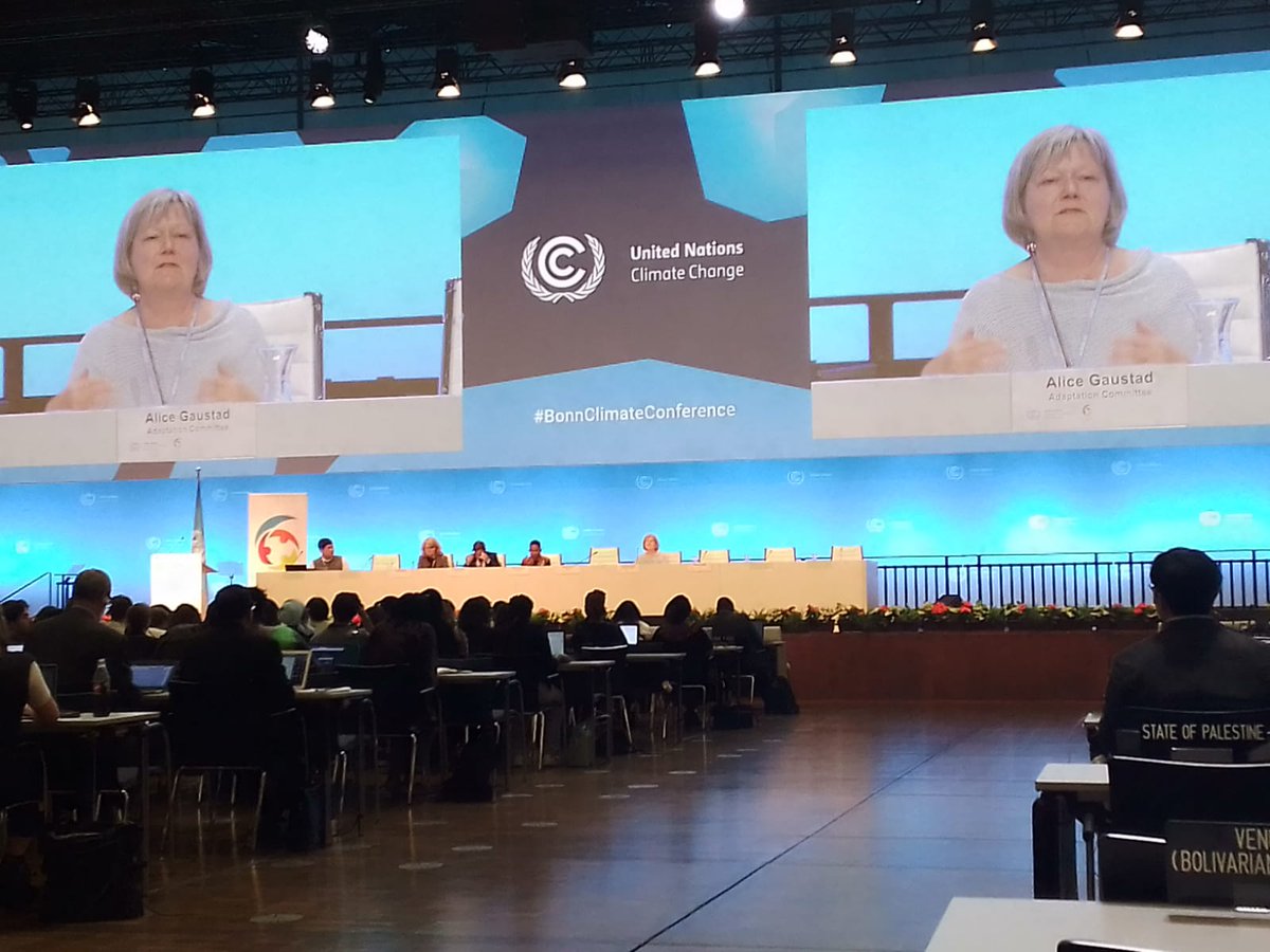#SB58 There is need to recognize young people as key to ensuring #ActionforClimateEmpowerment is within the #GlobalStocktake #COP28 <a href="/UNESCO/">UNESCO 🏛️ #Education #Sciences #Culture 🇺🇳</a> <a href="/UNFCCC/">UN Climate Change</a>