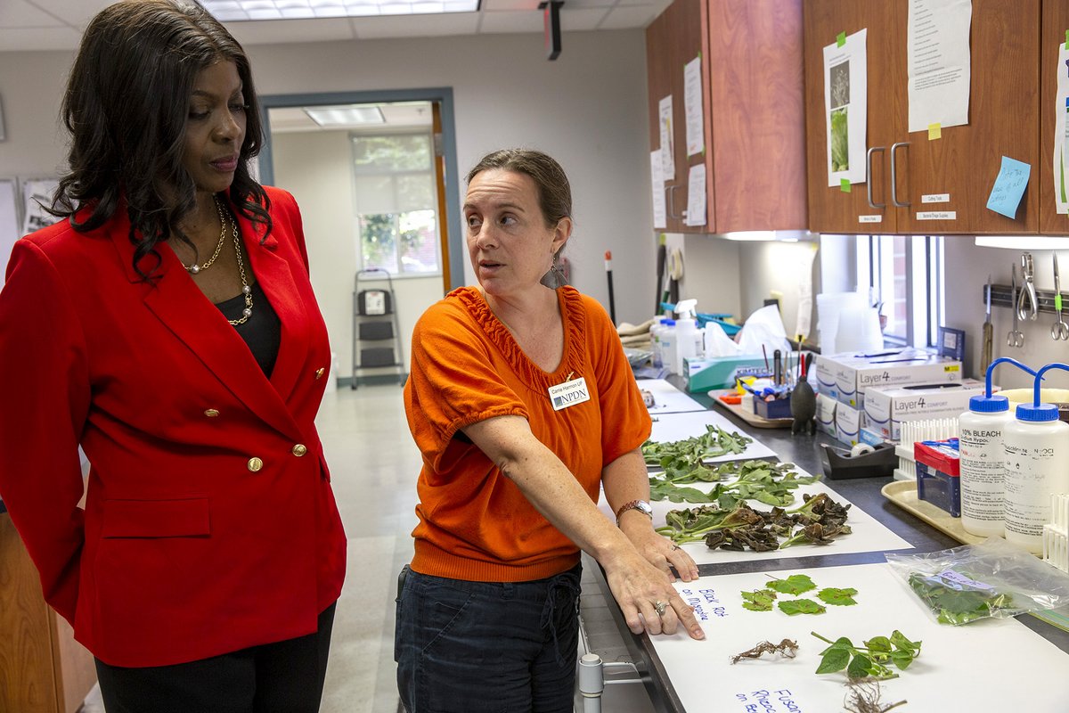 DAVN's @flplantdr: “We were delighted to host <a href="/USDA/">Dept. of Agriculture</a> Chief Scientist @DrChavonda &amp; staff - they had great thoughts for passing the baton to young scientists &amp; teaming up with partners to extend the products of NPDN and DAVN USDA-NIFA projects to the diagnostic lab &amp; field."