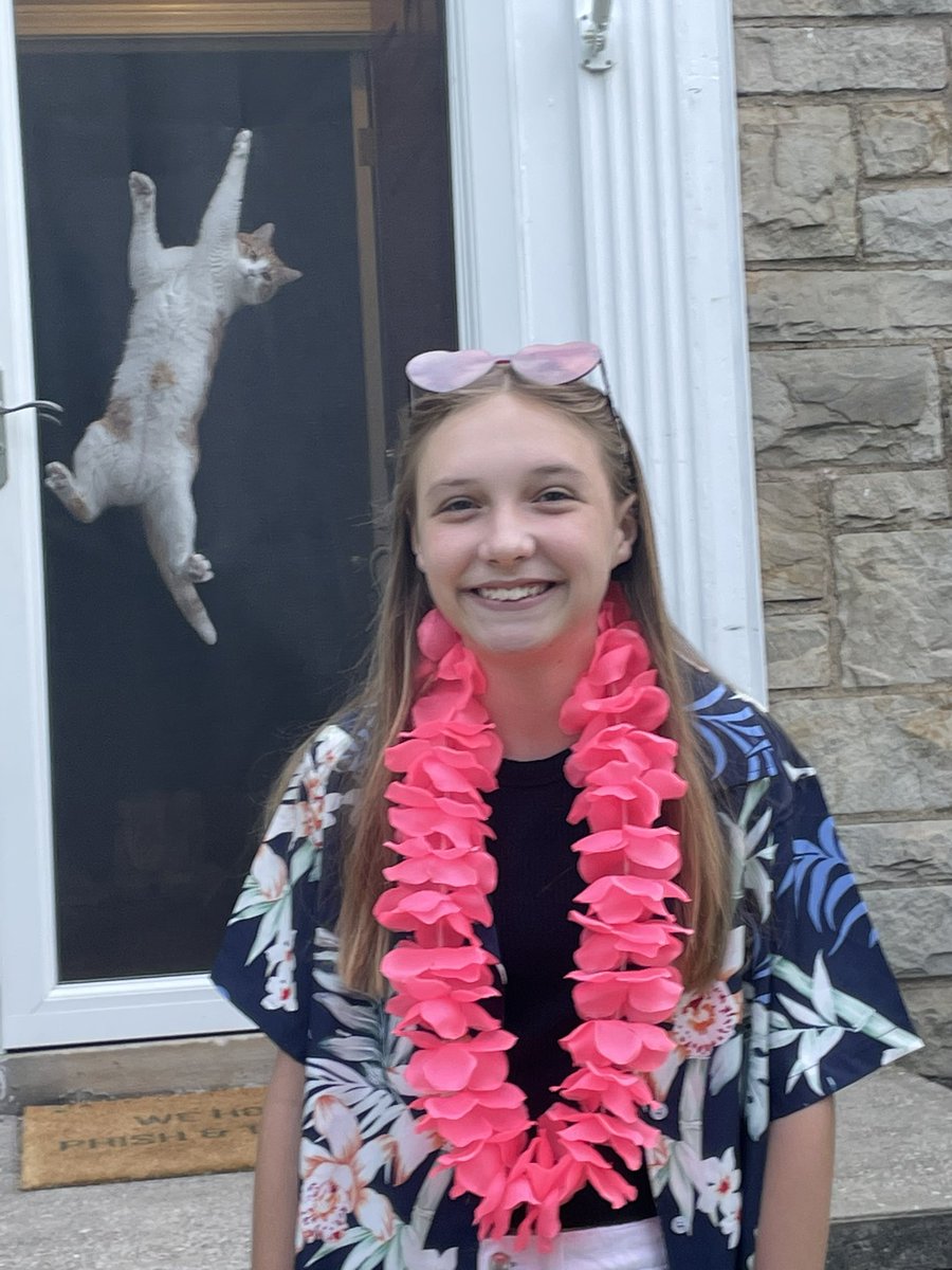 lotcatnip's tweet image. Last day of school