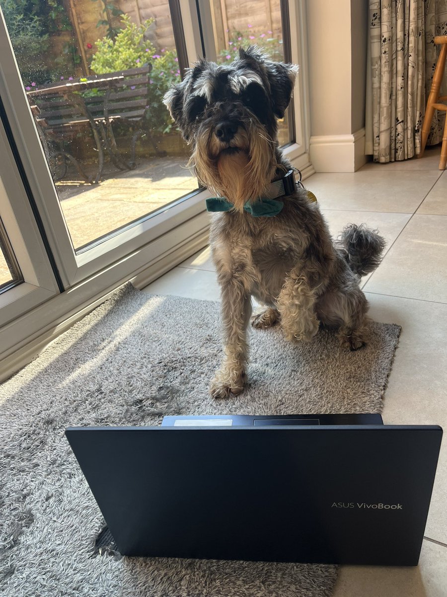 Fitz is busy getting ready for the @eprivateclient Excellence Awards this evening 🏆 looking forward to celebrating all the winners!