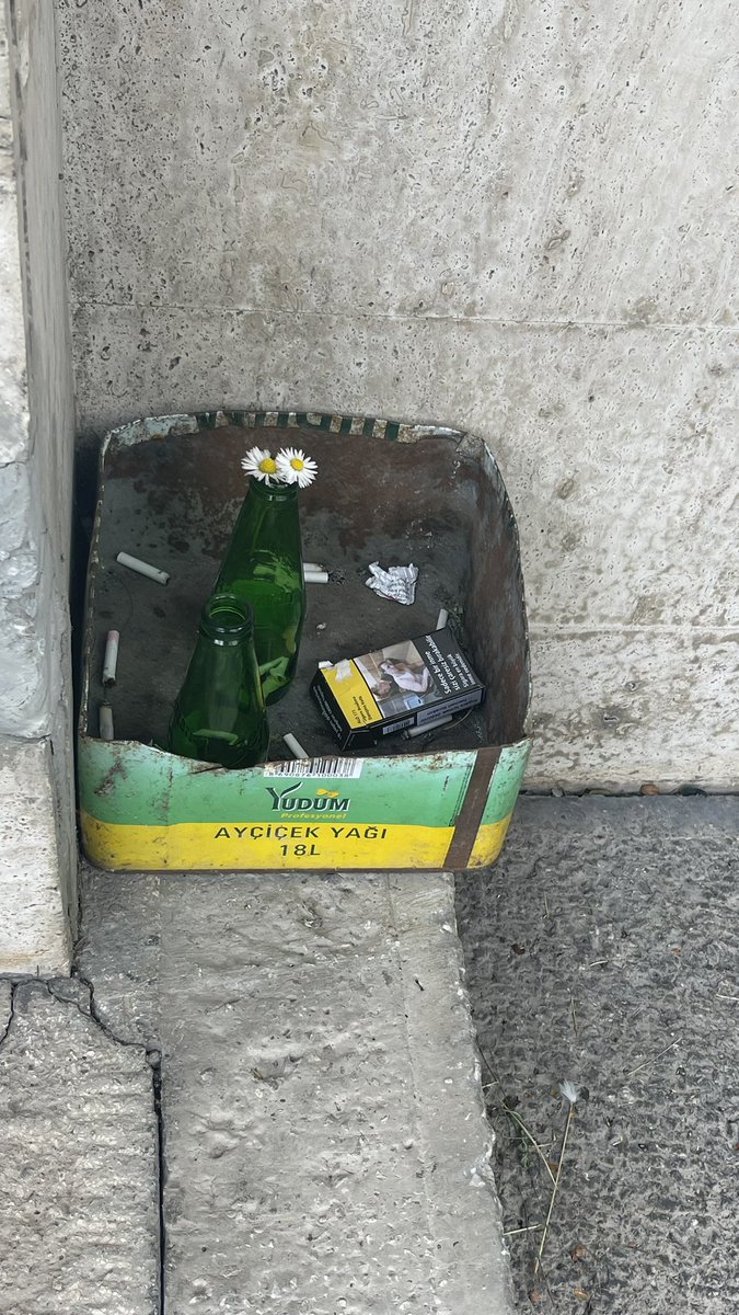 Kendimi bazen çöpün içerisine atılan soda şişesinin üstündeki papatya gibi hissediyorum.