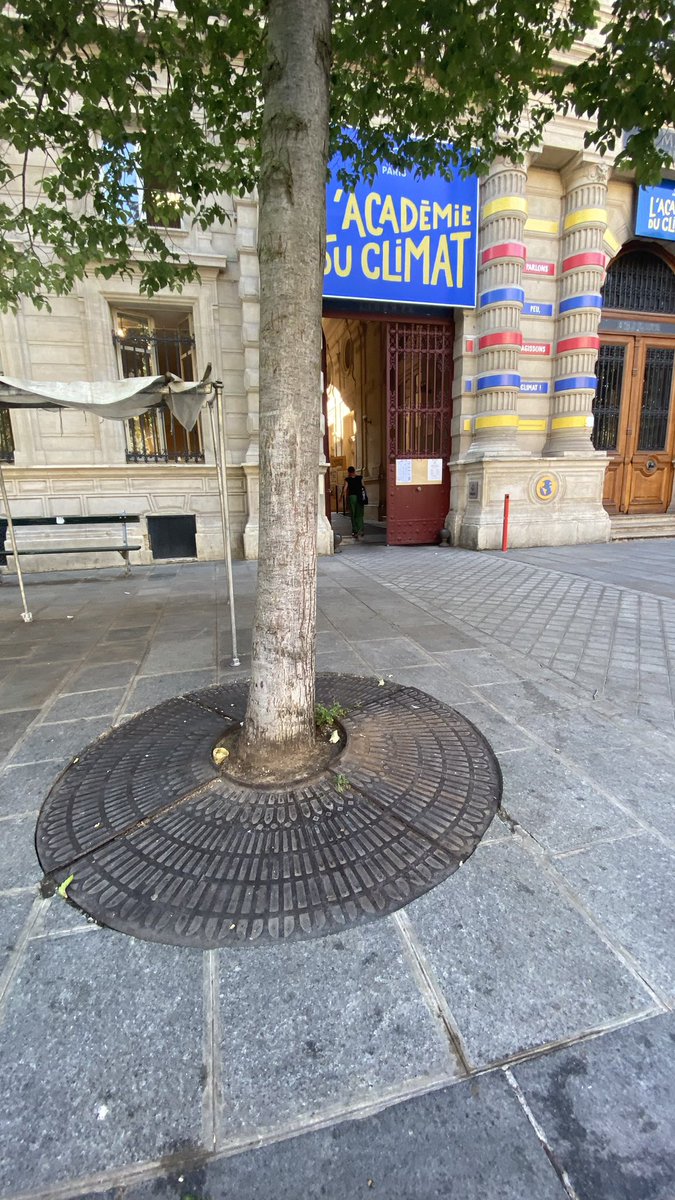 SPPEF92's tweet photo. Des arbres aux pieds 100% fonte entièrement imperméables devant l’Académie du Climat. 🥴 chic ou choc? @SPPEF @SOSParis @ltdla https://t.co/BnNLKKmXKk