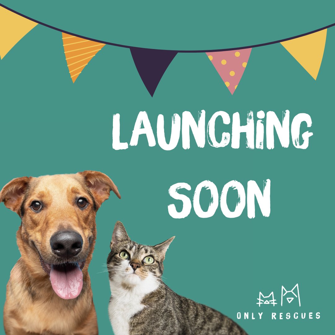 OnlyRescues's tweet photo. Only Rescues is a central platform that ethically matches adopters with rescue dogs and cats. We are delighted to announce that we will be launching very soon, and hope to be live within the next few weeks. Watch this space, we can't wait to get started 🥳🐱🐶
#AdoptDontShop https://t.co/BFB0JjgUEI