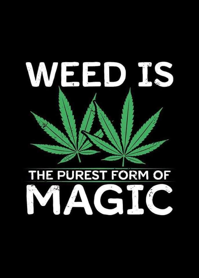 Good morning stoners fam I hope everyone has a high day #freakyfriday420 #thecandilady #motafresh #wakenbake #Weedsmokers #WeedLovers #WeedLife #420friendly #420community #420Life #STONER #StonerFam #stonernation #Mmemberville