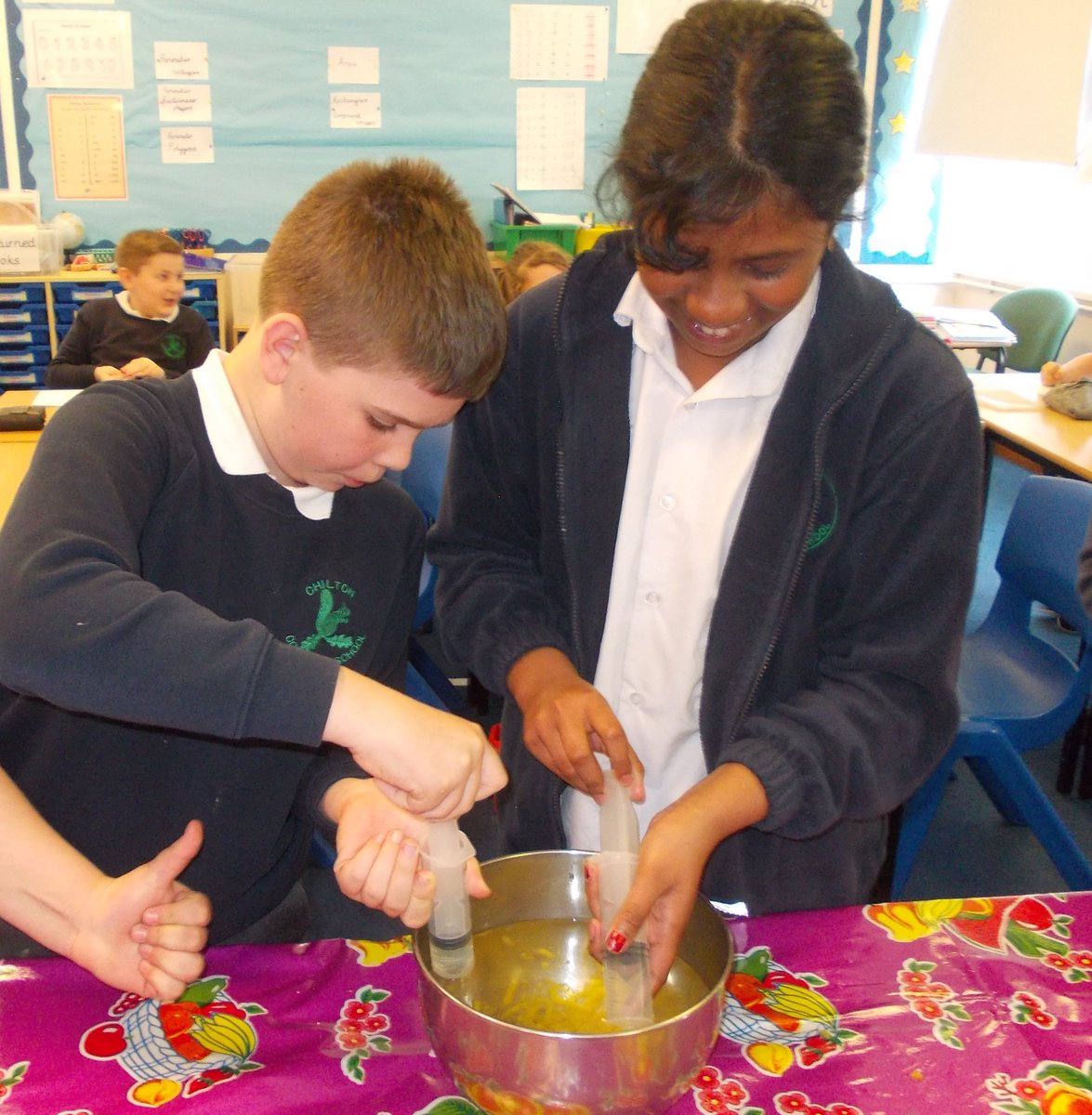 Chilton Community Primary School tweet media