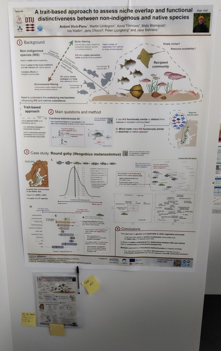 Are you interested in biological invasions and trait-based ecology? 🧐 Stop by poster nº69 from the CS025 Community Ecology session today at 18:30‼️Let's chat a bit about community assembly rules, traits and #NIS establishment! 🙌 #WorldOceanDay #ASLO23