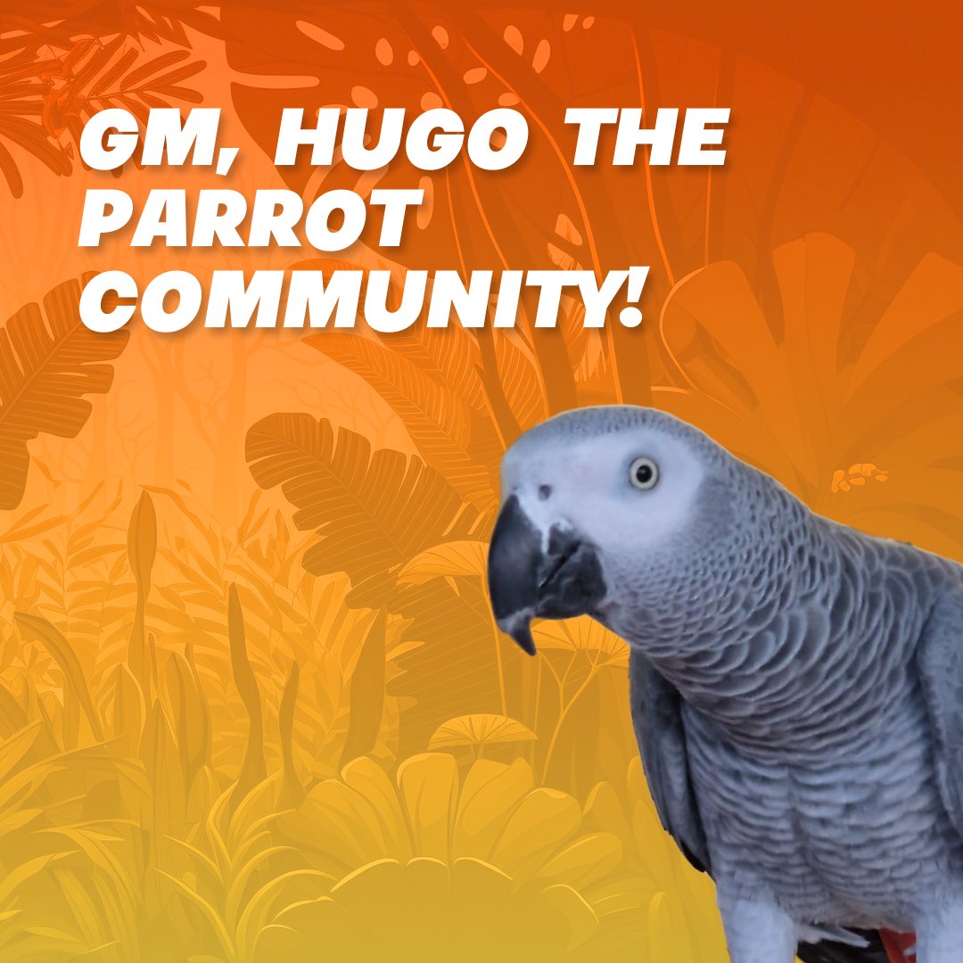 hugotheparrot's tweet photo. #GM, #HugoParrot community π
It's a new day to make a difference for African Grey Parrots. What's one goal you have for today?
Let's soar to new heights together! π¦
#HugoProject https://t.co/jjZwrqnmrk