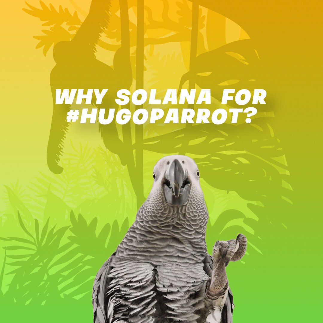 hugotheparrot's tweet photo. Why @solana for #HugoParrot? π
With impressive transaction speeds, low fees, and scalability, it's perfect for our #NFT and #token minting needs.
Thanks to #Solana, we can provide a seamless and cost-effective experience for our #community.
#HugoProject #SolanaBlockchain https://t.co/SKBSMSjers