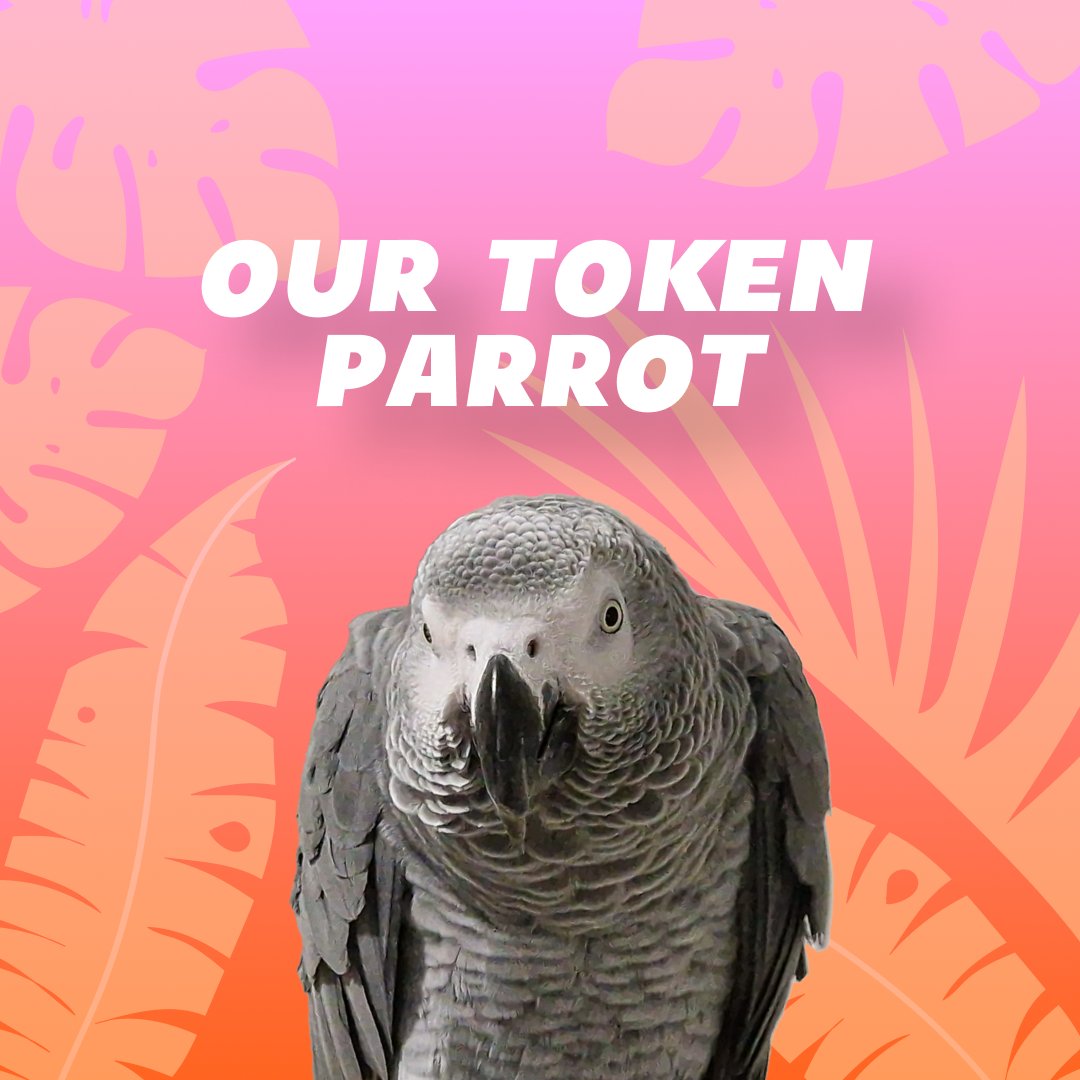 hugotheparrot's tweet photo. Our token, PARROT, isn't just a #token.
It's a step towards preserving African Grey Parrots.
Each token launch gets us closer to making a real impact.
Together, let's make a difference: https://t.co/mA8wp4cLiQ
#HugoParrot #PARROTToken #CryptoConservation https://t.co/zFPUe7EBfQ