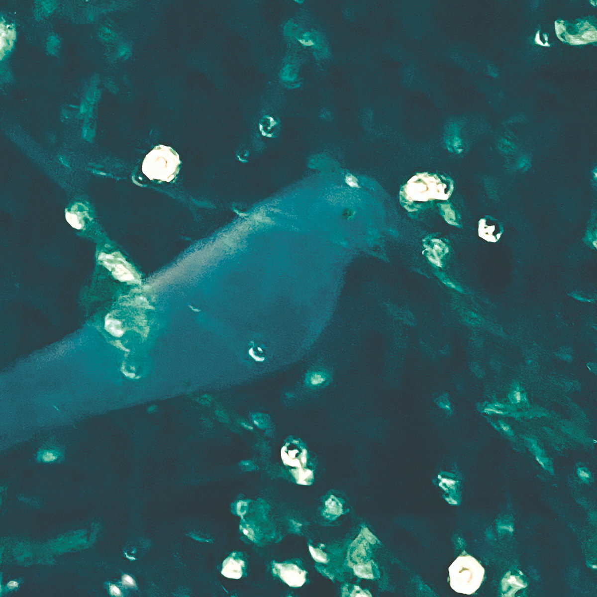 MAGNET Magazine tweet media